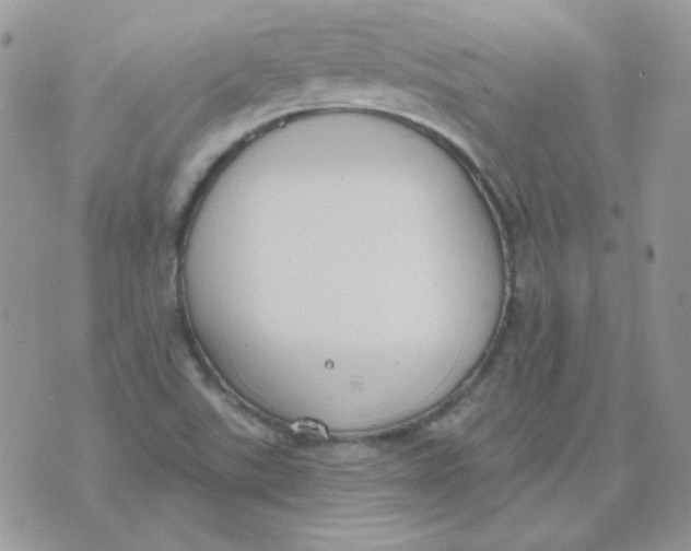 X0000074321507200609152019