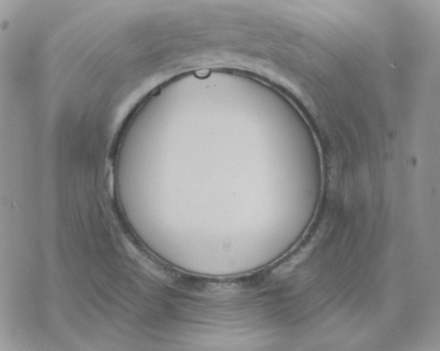 X0000074321509200609152019