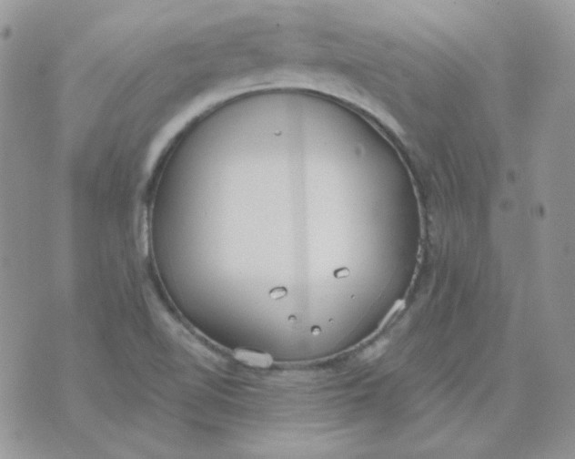 X0000074321510200609152019