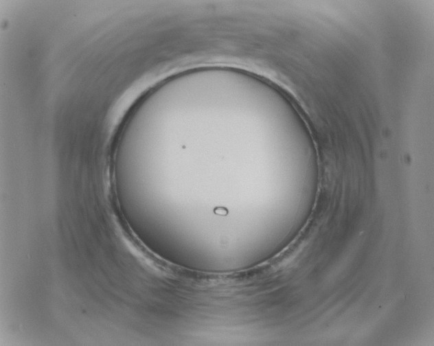 X0000074321511200609152019