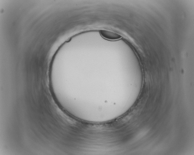 X0000074321512200609152019