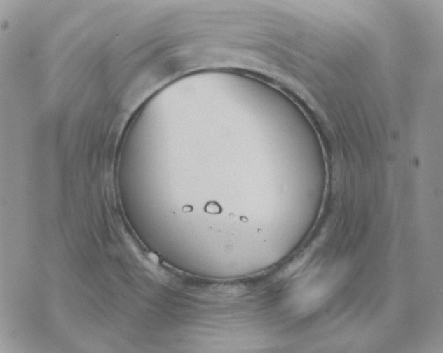 X0000074321513200609152019