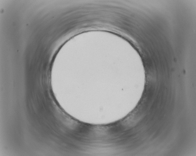 X0000074321514200609152019