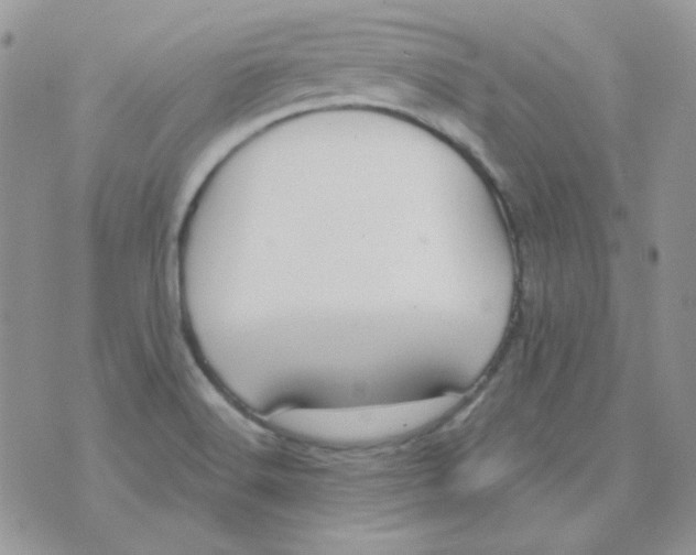 X0000074321516200609152019