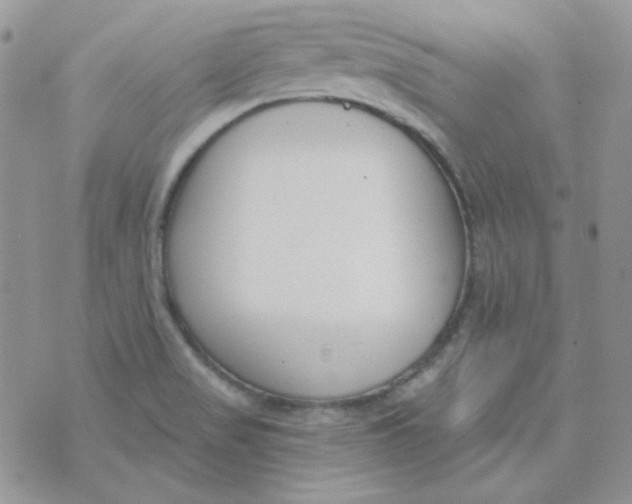 X0000074321517200609152019