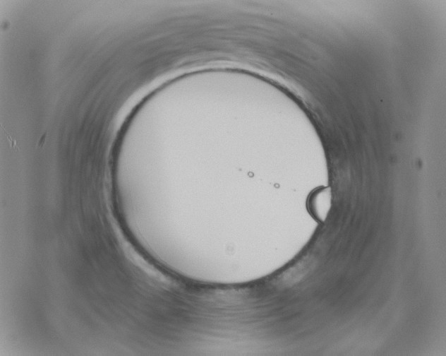 X0000074321518200609152019