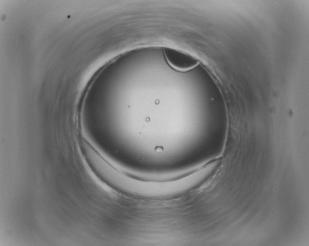 X0000074321519200609152019