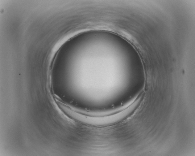 X0000074321520200609152019