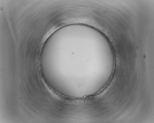 X0000074321521200609152019