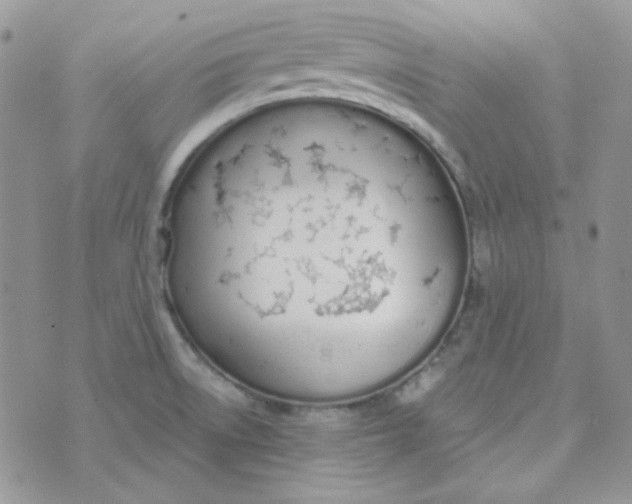 X0000074321522200609152019