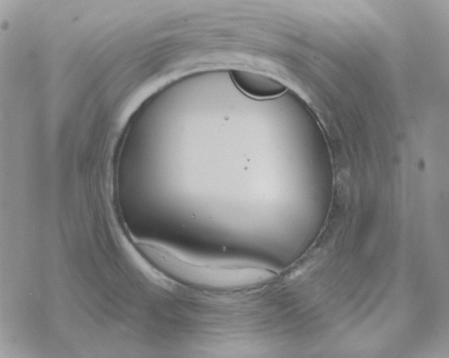 X0000074321523200609152019