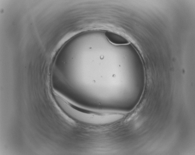 X0000074321525200609152019