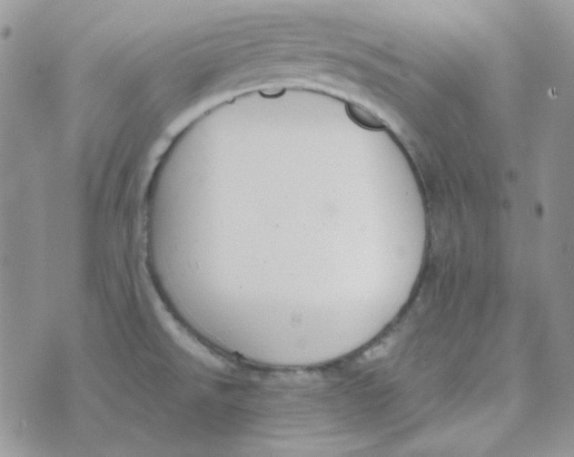 X0000074321526200609152019