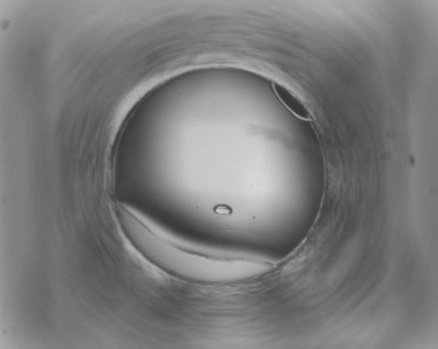 X0000074321527200609152019