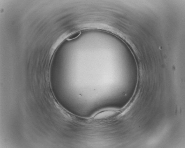 X0000074321529200609152019