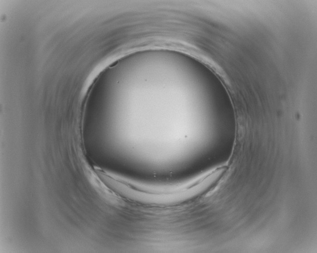 X0000074321530200609152019