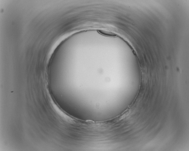 X0000074321531200609152019