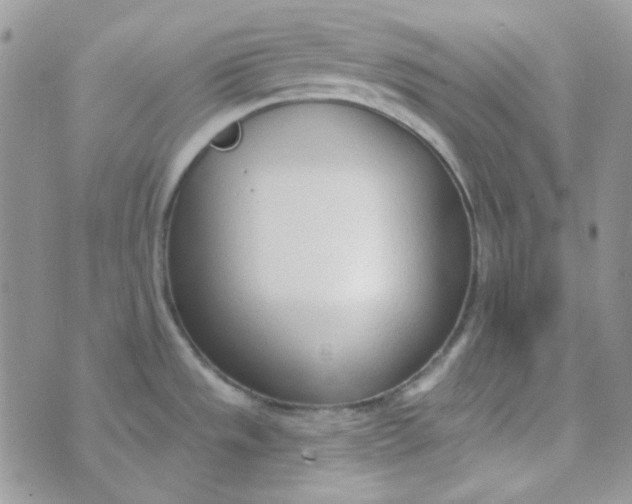 X0000074321533200609152019