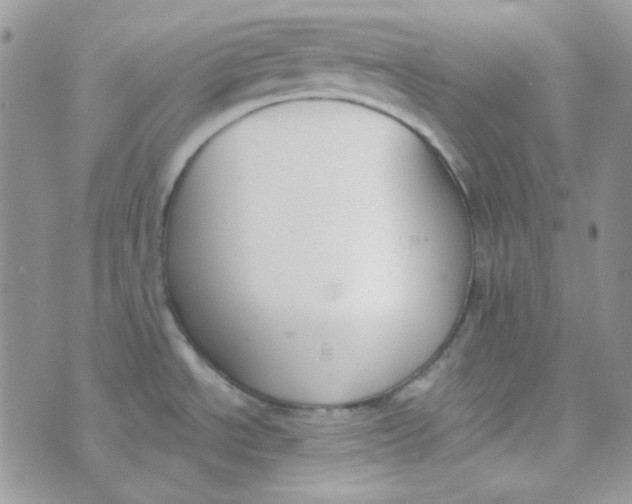 X0000074321534200609152019