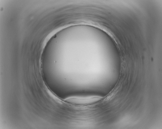 X0000074321535200609152019