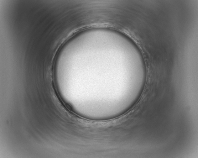 X0000074320002200609230038