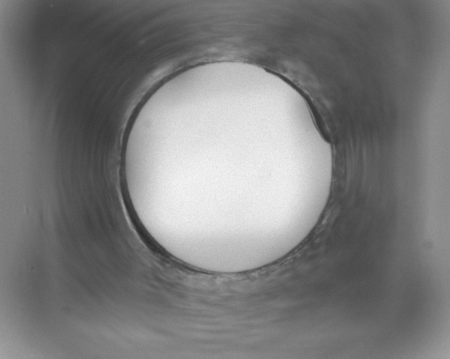 X0000074320003200609230038