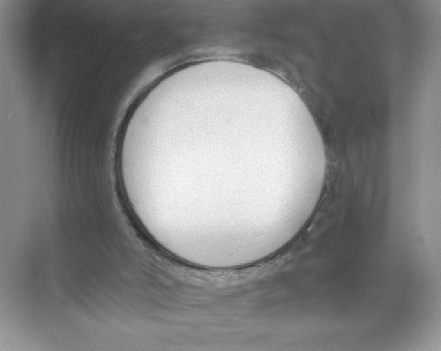 X0000074320006200609230038