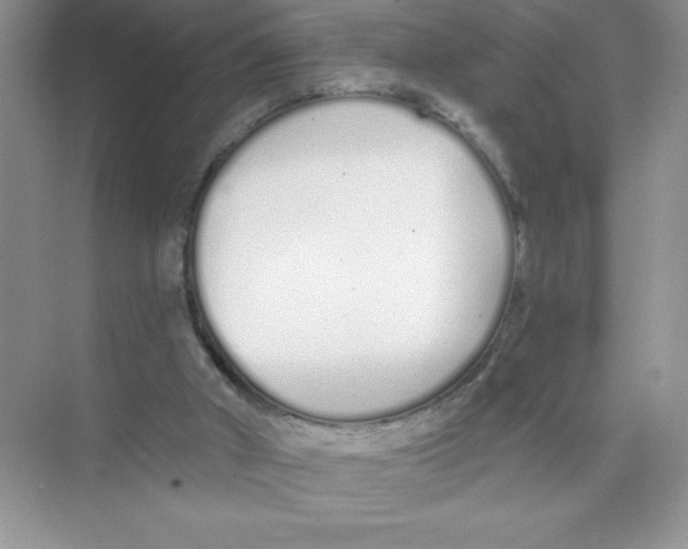 X0000074320010200609230038