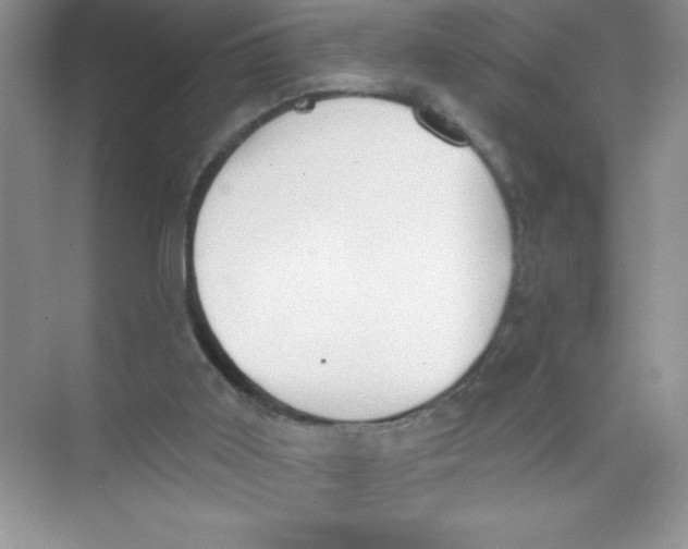 X0000074320011200609230038