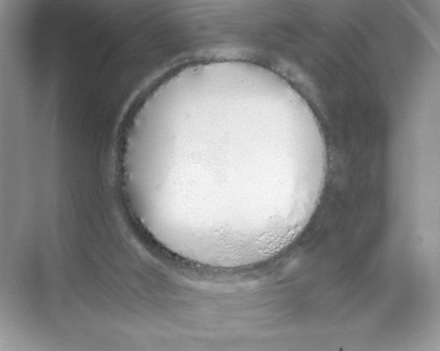 X0000074320012200609230038