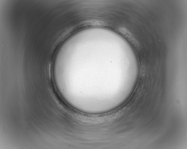 X0000074320014200609230038