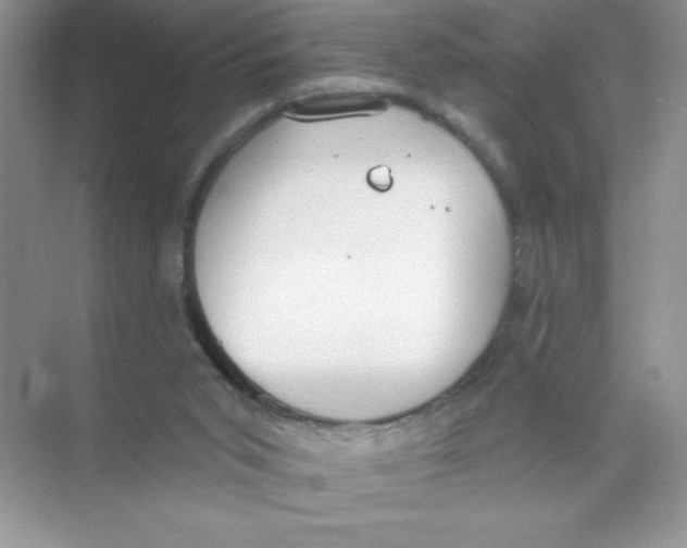 X0000074320015200609230038