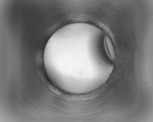 X0000074320017200609230038