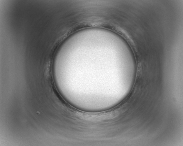 X0000074320018200609230038