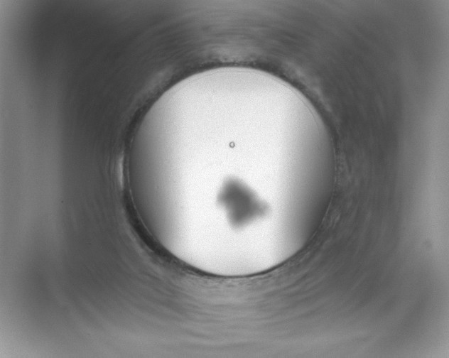 X0000074320019200609230038