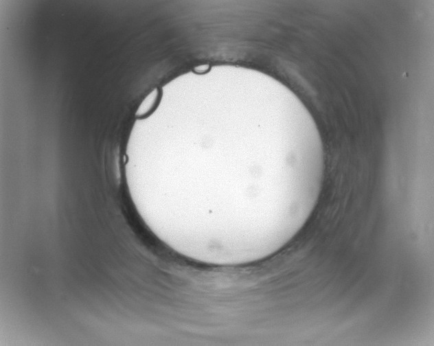 X0000074320020200609230038