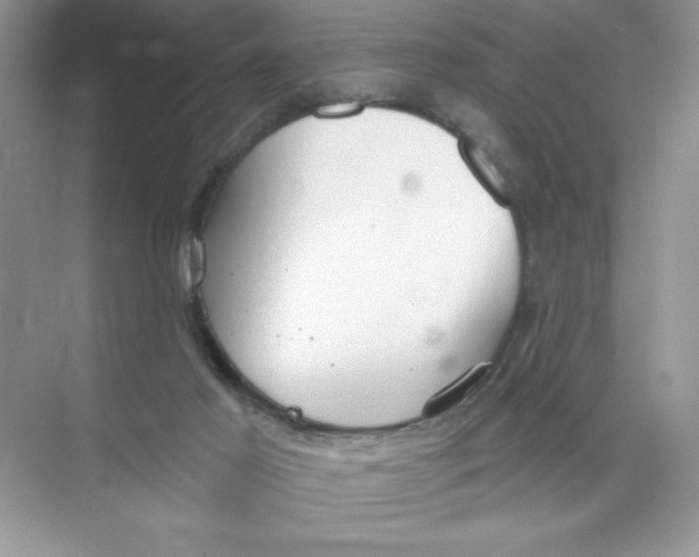 X0000074320021200609230038