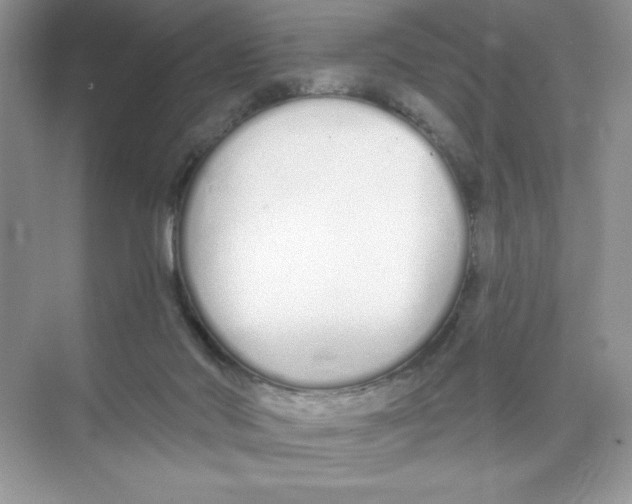 X0000074320022200609230038