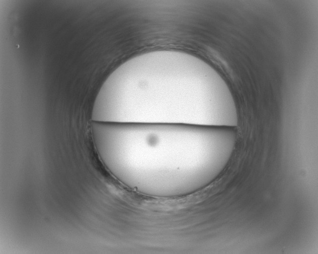 X0000074320025200609230038