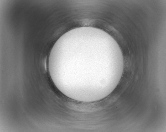 X0000074320028200609230038