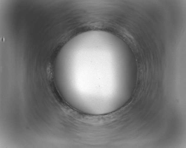 X0000074320029200609230038