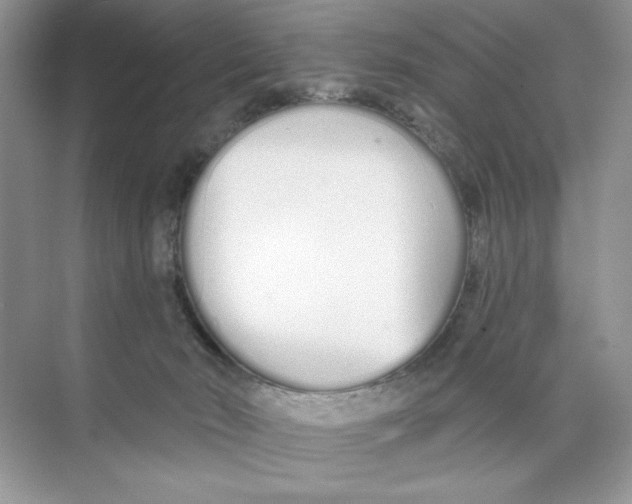 X0000074320030200609230038