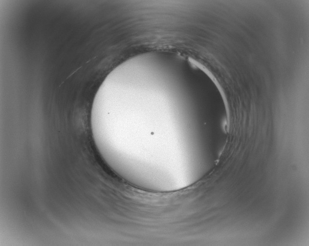 X0000074320035200609230038