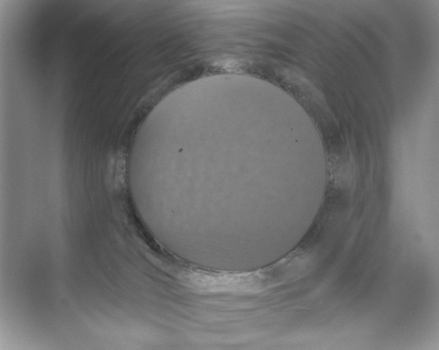 X0000074320036200609230038