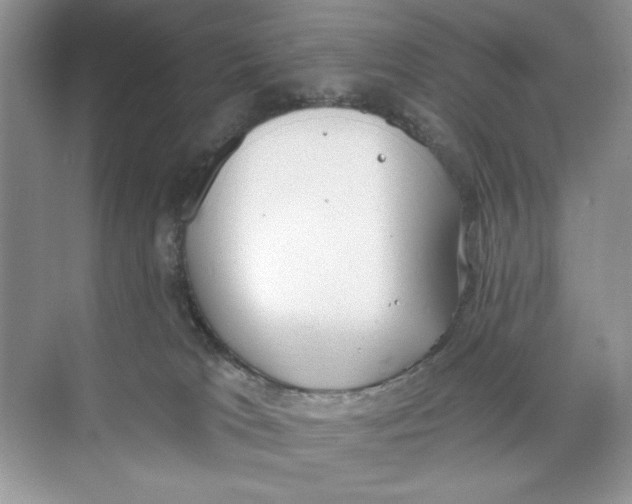 X0000074320037200609230038