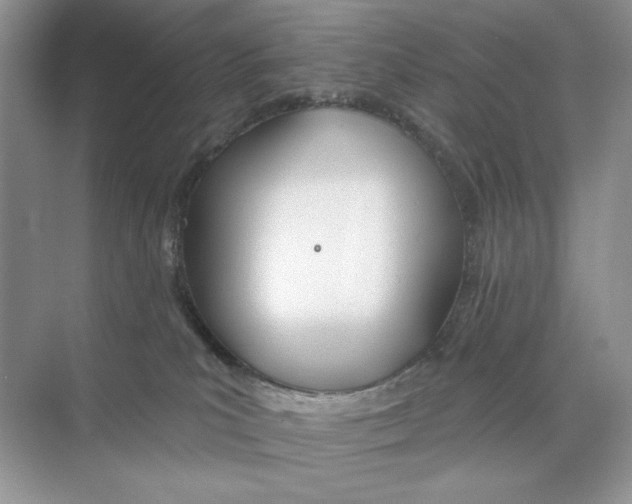 X0000074320039200609230038