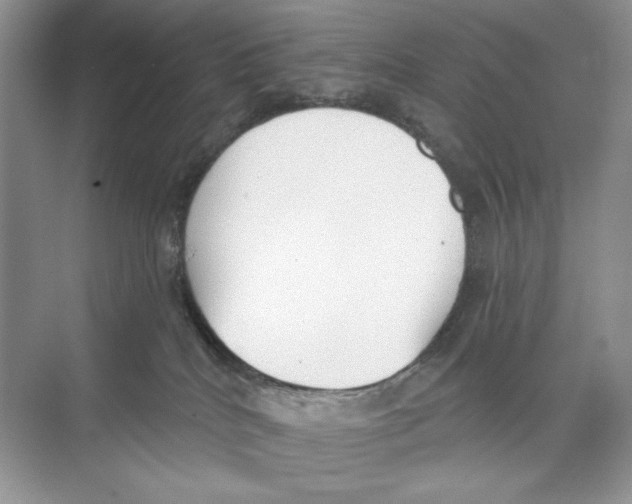 X0000074320040200609230038