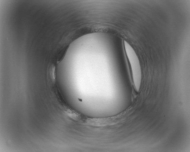 X0000074320041200609230038