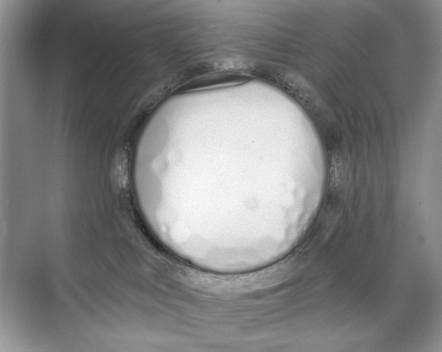 X0000074320043200609230038