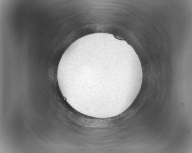 X0000074320044200609230038